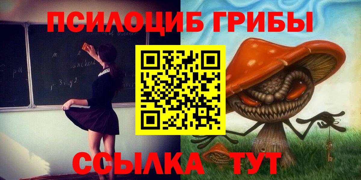Псилоцибиновые грибы Psilocybine cubensis Шумерля