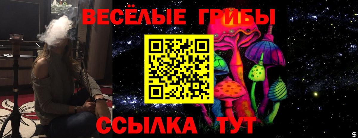 Шумерля  Псилоцибиновые грибы GOLDEN TEACHER  Вход с VPN 